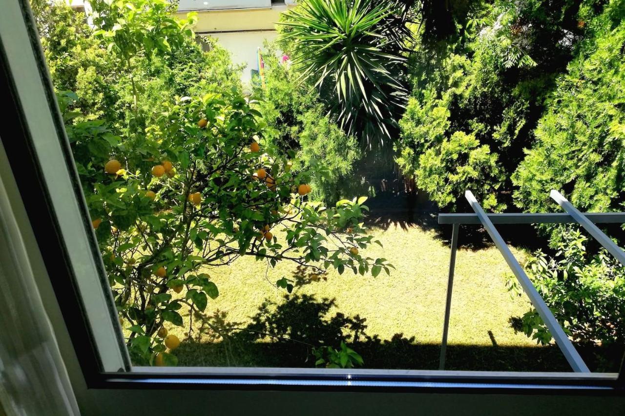 Lefkada Suncentral Apartments Eksteriør billede